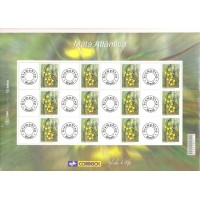 C-2541 - 2003 - SP-04 - MINT - FOLHA PERSONALIZADA - MATA ATLÂNTICA - VINHETA STAMP POST BRAZIL