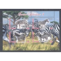 TCHAD - ZEBRA