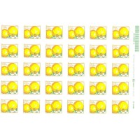 R-767 - MICROSSERRILHA - FRUTAS - LARANJA - FOLHA MINT - RHM R$ 450,00 (90 UFS X R$ 5,00)