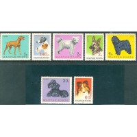HUNGRIA - 1967 - FAUNA - CACHORROS - SÉRIE COM 5 SELOS - 1903/09 - 13,70 EUROS