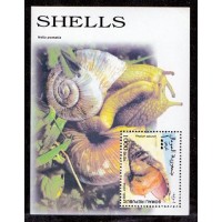 SOMÁLIA - 1999 - FAUNA MARINHA - CARAMUJO - BLOCO COM 1 SELO - MUITO BONITO