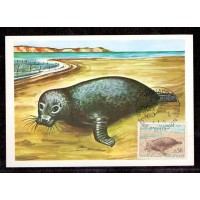 MONACO - 1970 - FAUNA MARINHA - FOCA - LINDO BLOCO COM O SELO