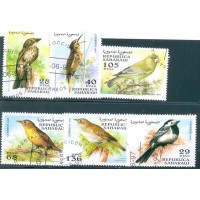 SAHARA OCID - PÁSSAROS 