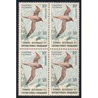 TERRAS AUSTRALES - FAUNA - PÁSSAROS - ALBATROZ
