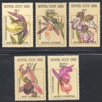 RÚSSIA - 1991 - 5851/5855 - SÉRIE COM 5 SELOS - FLORA EM GERAL - ORQUÍDEAS