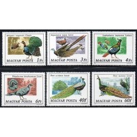 HUNGRIA - 1977 - 2550/2555 - SÉRIE COM 6 SELOS - FAUNA - AVES EXÓTICAS