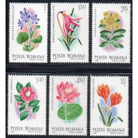 ROMÊNIA - 1980 - 3277/3282 - SÉRIE COM 6 SELOS -  FLORA - FLORES EXÓTICAS