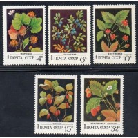 RÚSSIA - 1982 - 4887/4891 - SÉRIE COM 5 SELOS -  FLORA - FLORES E FRUTOS