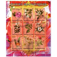 CONGO - BLOCO COM 9 SELOS - CARIMBADO - FLORA - FLORES DIVERSAS - 2007