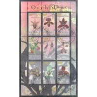 DJIBOUTI - BLOCO COM 9 SELOS - CARIMBADO - FLORA - COGUMELOS - 2010