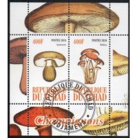 TCHAD - BLOCO COM 2 SELOS - CARIMBADO - FLORA - COGUMELOS - 2010