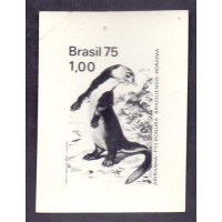 C-0893 - 1975 - VARIEDADE: PROVA FOTOGRÁFICA - FAUNA - ARIRANHA