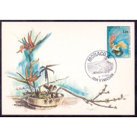 MONACO - MÁXIMOS POSTAIS - 1981 - FLORES 