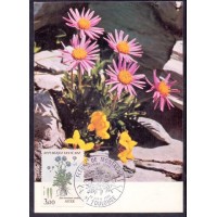 REPUBLICA FRANCESA - MÁXIMOS POSTAIS -1983 - FLORES