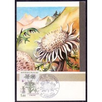 REPUBLICA FRANCESA  - MÁXIMOS POSTAIS - FLORES - 1983 - FLORA