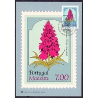 PORTUGAL - MÁXIMOS POSTAIS - 1981 - FLORES 
