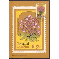 PORTUGAL - MÁXIMOS POSTAIS - FLORES - FLORA - 1981