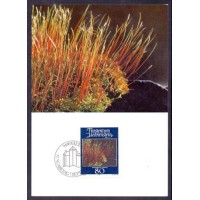 MÁXIMOS POSTAIS - FURSTENTUM LIECHTENSTEIN - 1981 - FAUNA MARINHA - CONTÉM LEVE FERRUGEM.