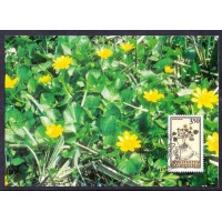 MÁXIMOS POSTAIS - FURSTENTUM LIECHTENSTEIN - 1995 - FAUNA MARINHA