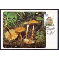 @ANDORRA - MÁXIMOS POSTAIS - 1986 - COGUMELOS