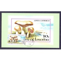 MÁXIMOS POSTAIS - LESOTHO - 1983 - COGUMELOS
