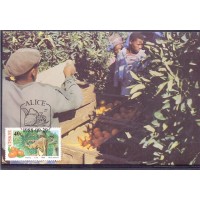 CISKEI  - MÁXIMOS POSTAIS - 1988 - FRUTAS