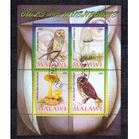 MALAWI - CORUJA, COGUMELO - 2008