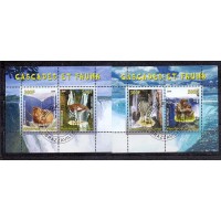 CONGO - CACHOEIRAS E FAUNA - 2008