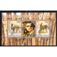 CONGO - EXPLORADOR AFRICANO - 2008 