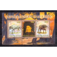 CONGO - EXPLORADOR AFRICANO - SYNCERUS CAFFER - 2008 