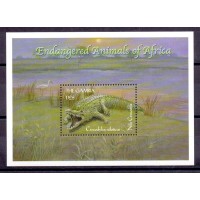 GAMBIA -  ANIMAIS GERADOS DA ÁFRICA - JACARE