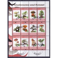 RWANDA - COGUMELOS E BONSAI