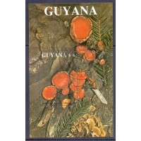 GUYANA -  COGUMELO 