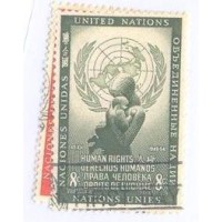 ONU NEW YORK - 1954 - USADO - DIA DOS DIREITOS HUMANOS - SÉRIE 2 SELOS - Y 29/30