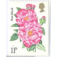 INGLATERRA - 1976 - MINT - ROSAS - CENTENÁRIO DO ROYAL NACIONAL ROSE SOCIETY - 4 SELOS - Y 795/98 