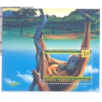 ONU GENEVE - 1998 - FLORESTA TROPICAL - ONÇA - BLOCO - MINT - Y BL-10 