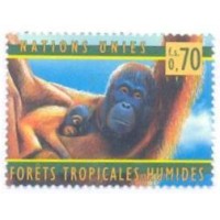 ONU GENEVE - 1998 - FLORESTA TROPICAL - ORANGOTANGO - MINT - Y 365