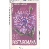 ROMENIA - PROTEÇÃO DA NATUREZA - NOVO - YT-2863/68