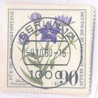 ALEMANHA BERLIN - 1980 - USADO - FLORES DIVERSAS: ORLAYA GRANDIFLORA GAGEA ARVENSIS - ETC - SÉRIE 4 SELOS - YT-590/93