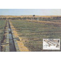 ONU VIENA - 1984 - MAXIMO POSTAL - DIA MUNDIAL DA ALIMENTAÇÃO - SÉRIE 2 SELOS IRRIGAÇÃO E MECANIZAÇÃO NA LAVOURA SOBRE 2 POSTAIS ALUSIVOS - Y 039/40