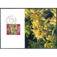 FURSTENTUM LIECHTENSTEIN - 1981 - FAUNA MARINHA - MÁXIMOS POSTAIS