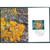 FURSTENTUM LIECHTENSTEIN  - FAUNA MARINHA - MÁXIMOS POSTAIS - 1981