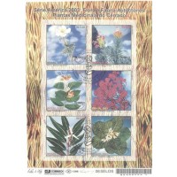 BL-131 - CARIMBO CBC - SÉRIE PLANTAS MEDICINAIS DO CERRADO - 2003 - RHM R$ 45,00 (9 UFS X R$ 5,00)