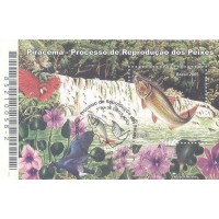 BL-139 - CARIMBO CBC - PIRACEMA - 2005 - RHM R$ 25,00 (5 UFs X R$ 5,00)