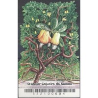 BL-141 - CAJUEIRO - RHM UFS 25,00