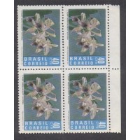 C-0713 - QUADRA - NOVA - GOMADA - ORQUÍDEA BRASILEIRA LAELIA - 1971