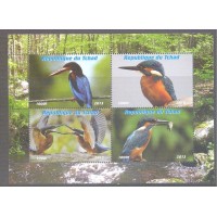 TCHAD - AVES 