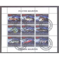 COSTA DO MA - FAUNA MARINHA