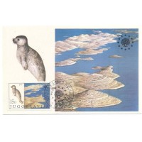 YOUSLÁVIA - MÁXIMOS POSTAIS -  1982 - FOCA