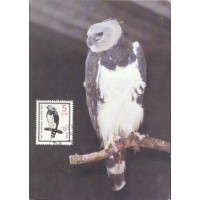 MÁXIMOS POSTAIS - 1985 - CORUJA